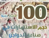 “أرقام X الزراعة”| نستعرض أهم الأرقام حول صناعة الدواجن في مصر